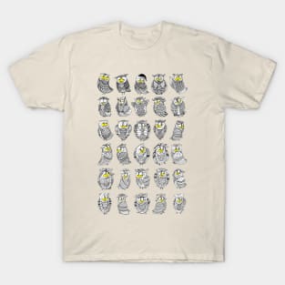 Sleepy Owls T-Shirt